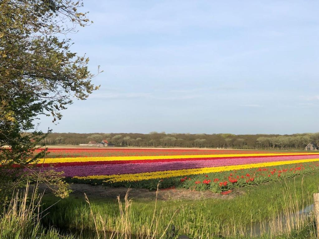 Villa Meno Mosso Sint Maartensvlotbrug Exterior foto